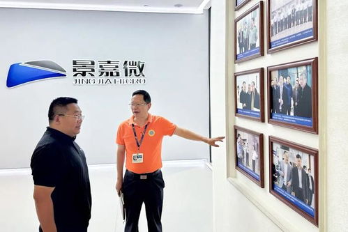 2023年盘古智库集成电路产业调研 挑战、机遇与本土化之路