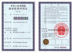 山东力创科技 能源计量与能效管理的全方位专家